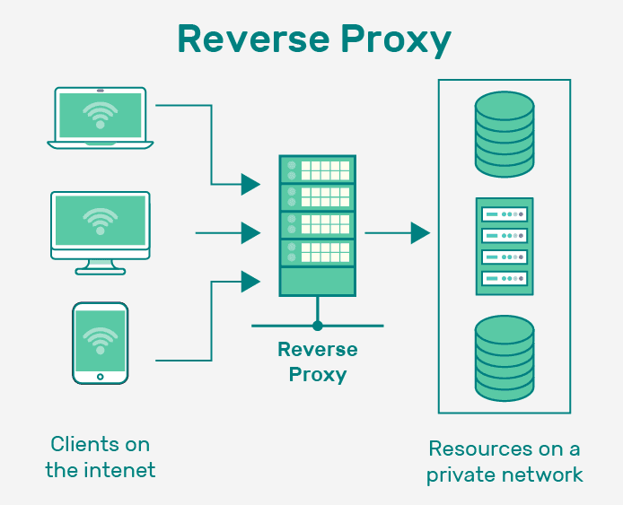 Reverse Proxy Server