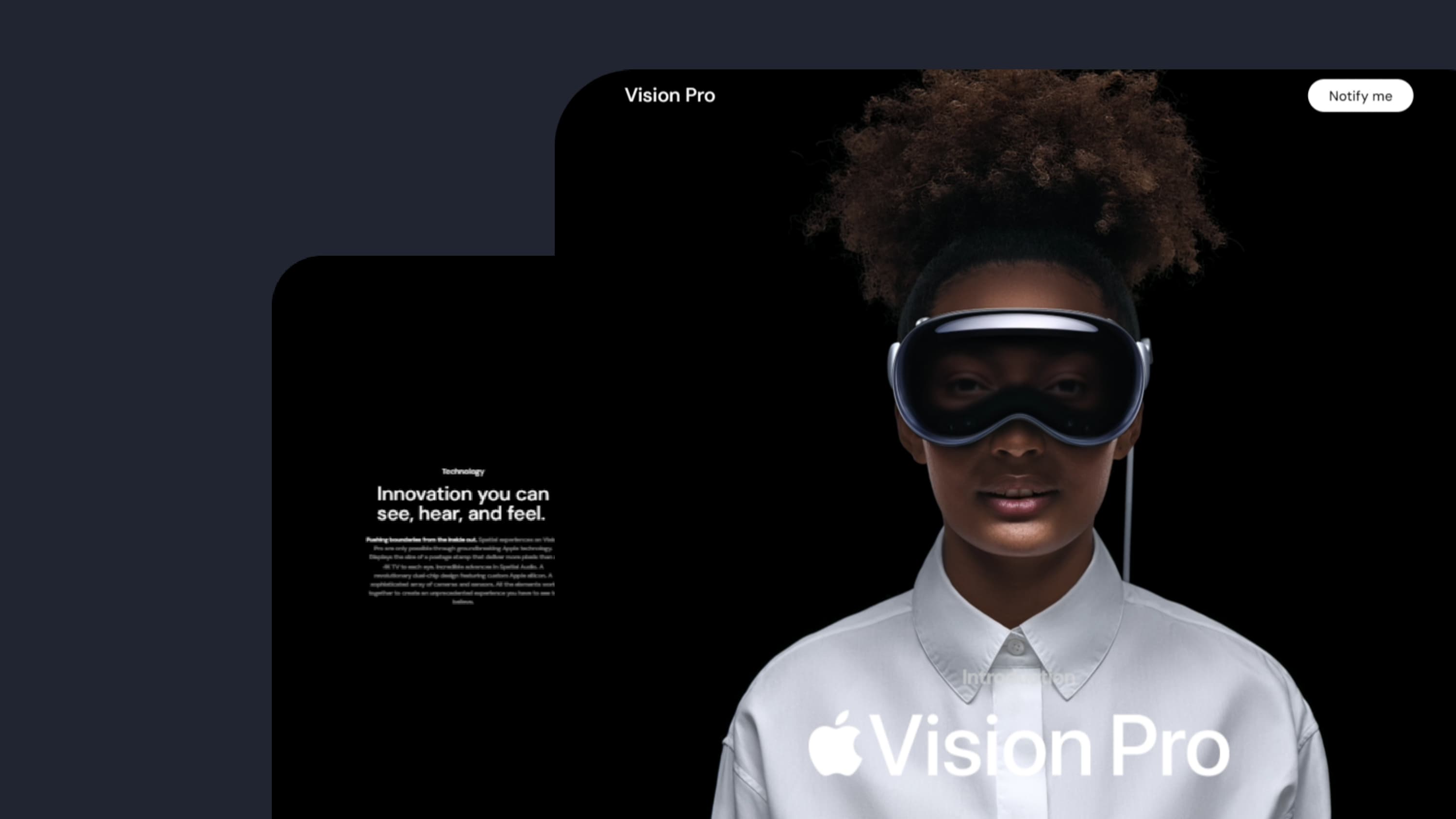 Vision Pro